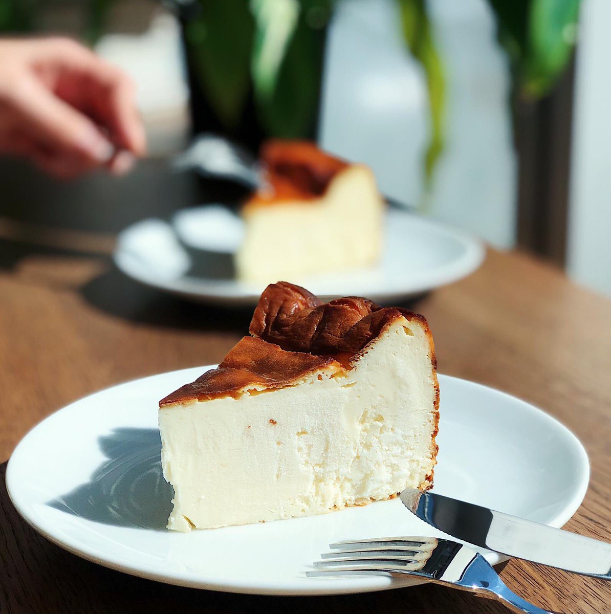 SAN SEBASTİAN CHEESECAKE