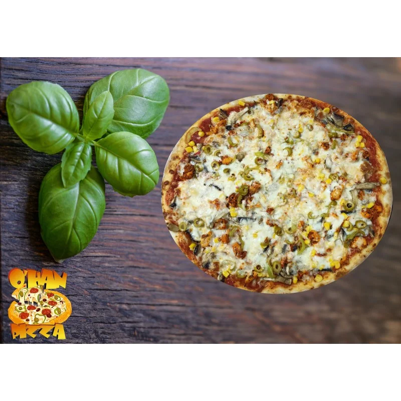 TORİNO DELÜX PİZZA