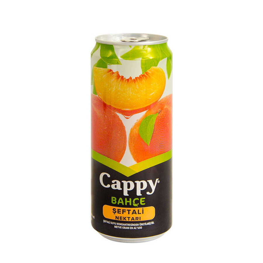 CAPPY Meyve Suyu