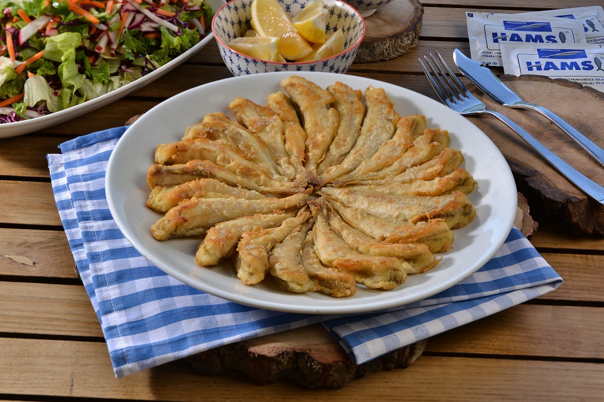 Mezgit 