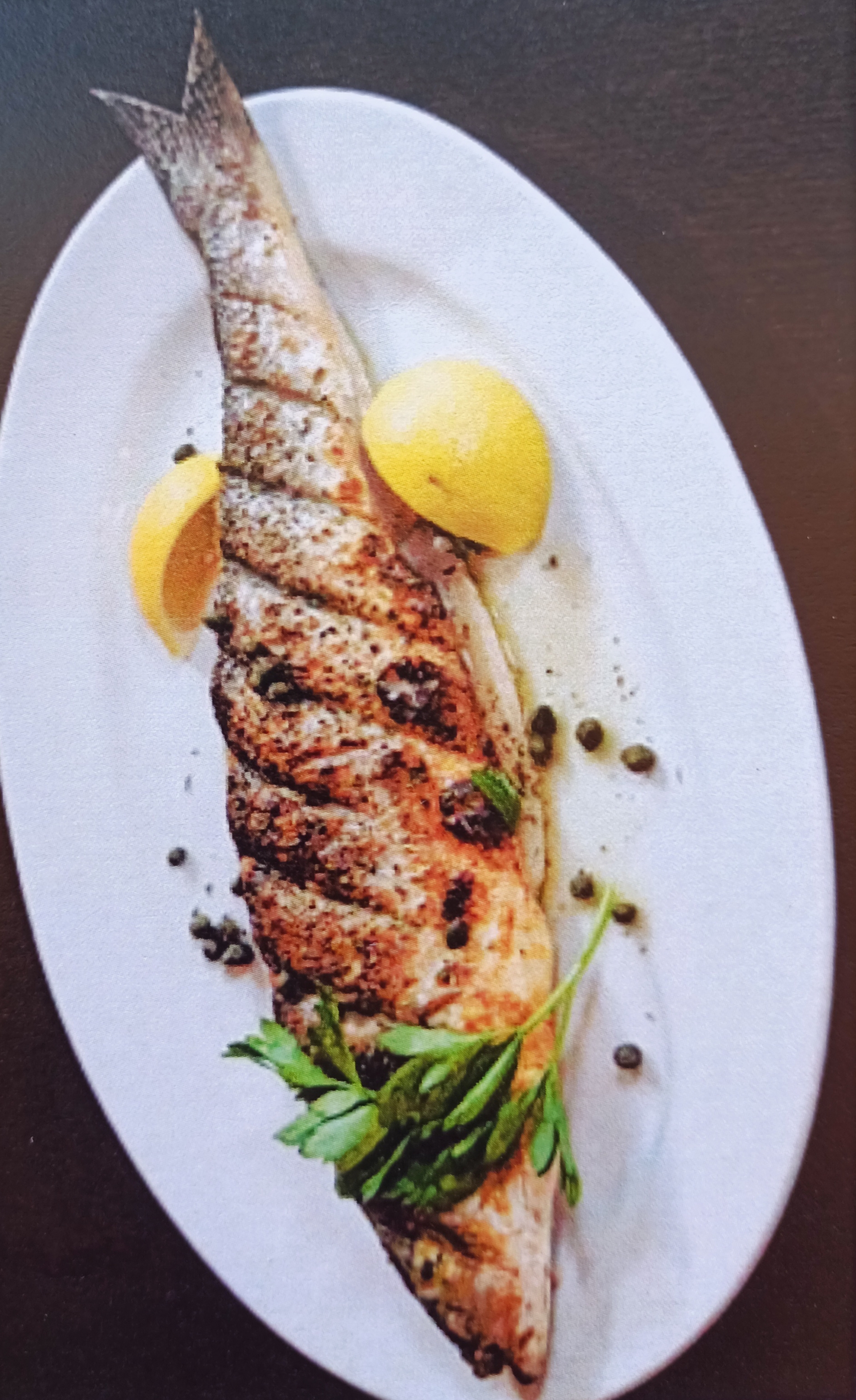 Levrek / Sea Bass