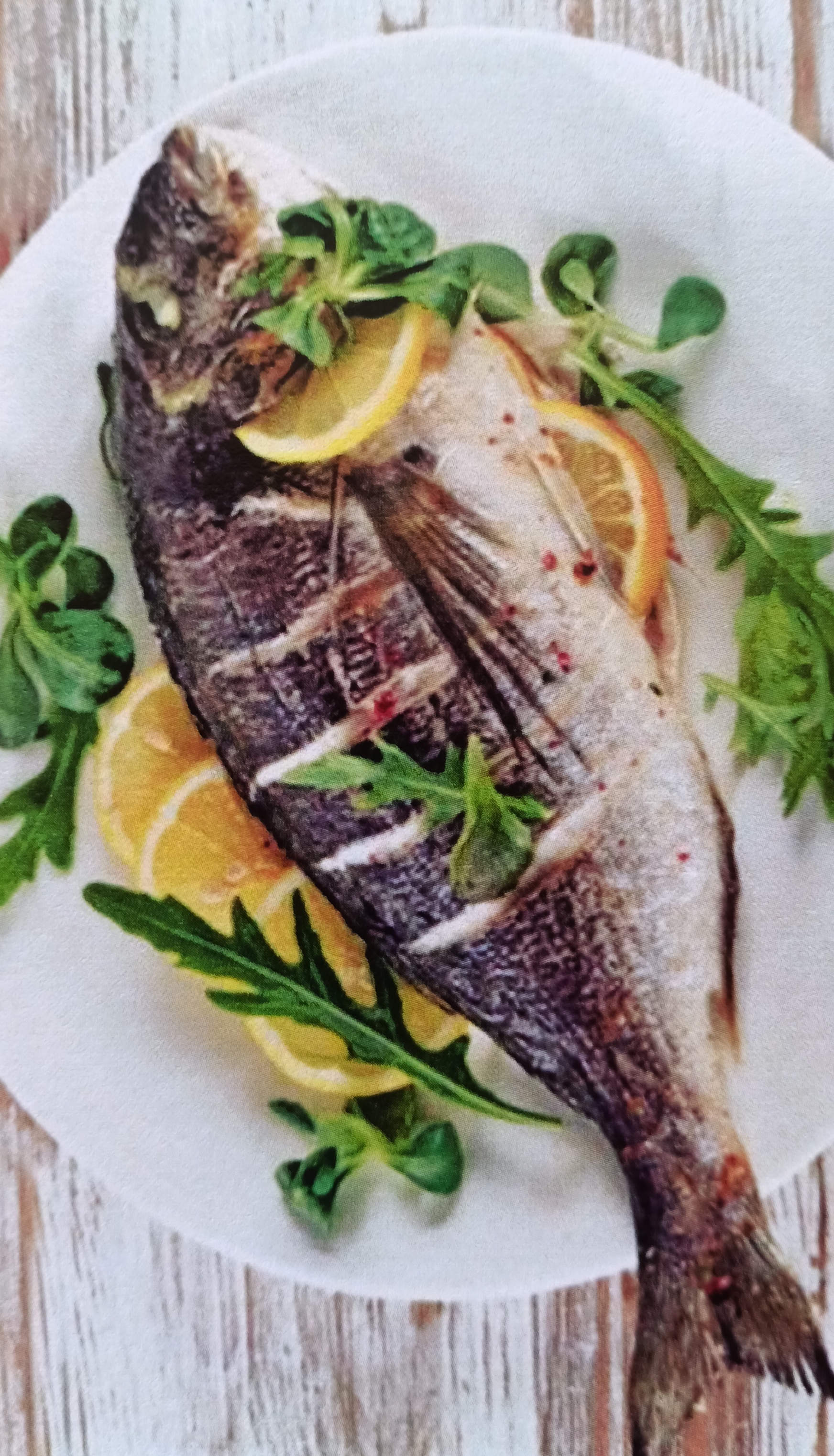 Çupra / Sea Bream