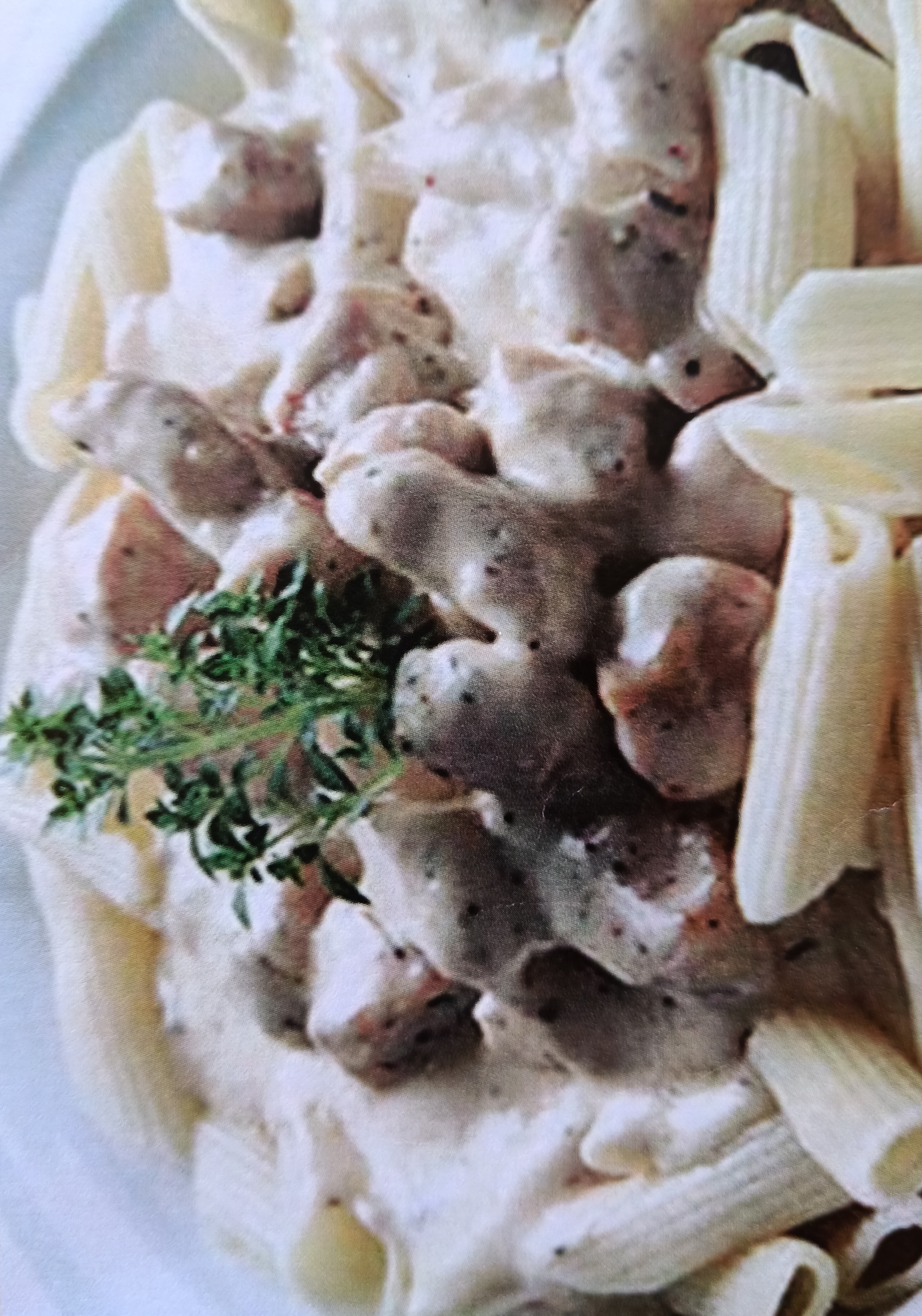Kremalı Tavuklu Mantarlı Penne / Creamy Chicken Penne With Mushroom