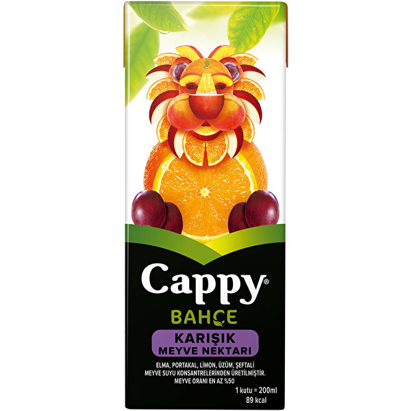 Cappy small (peach, apricot, mixed fruit, orange or Atom)