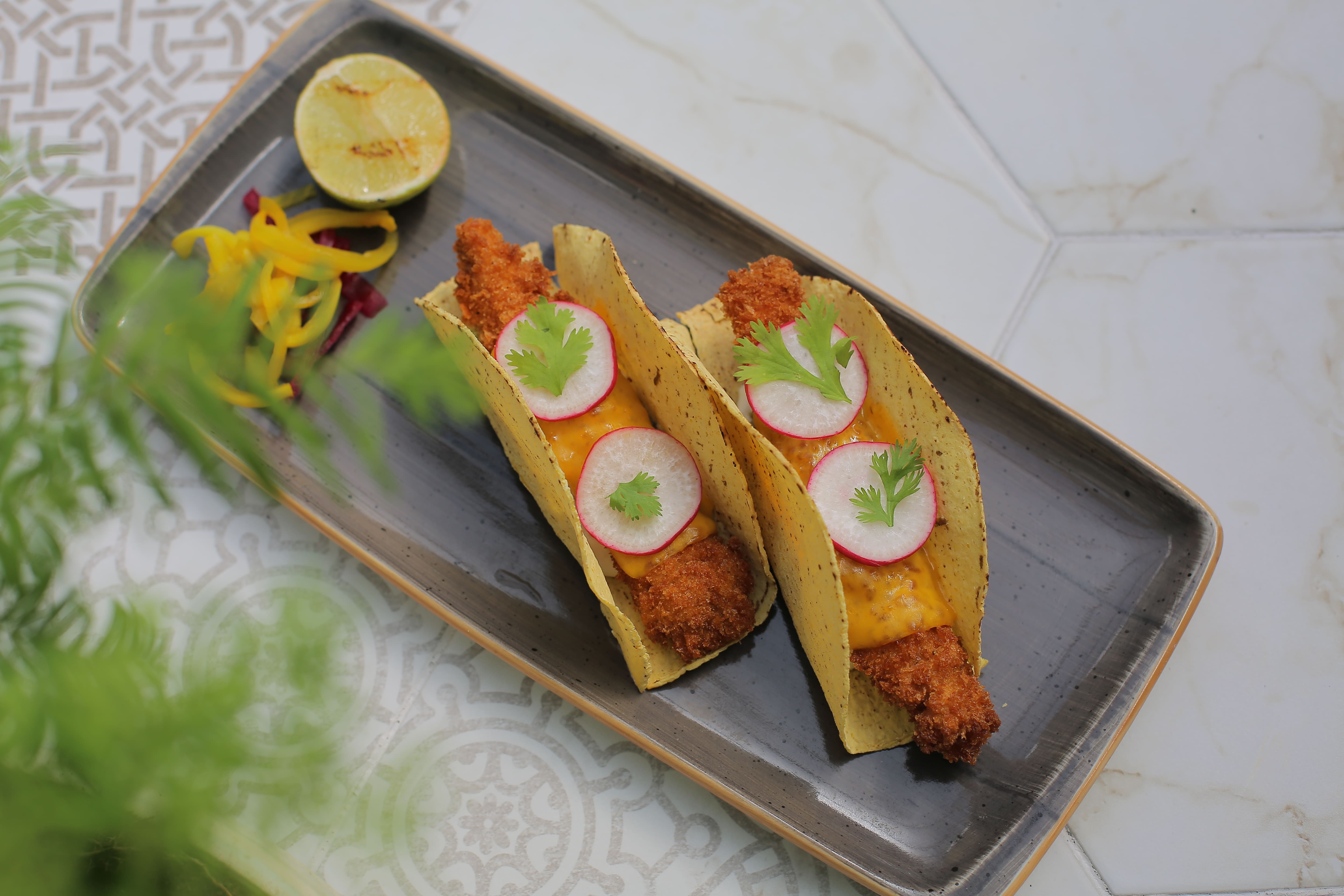 Tavuklu Taco