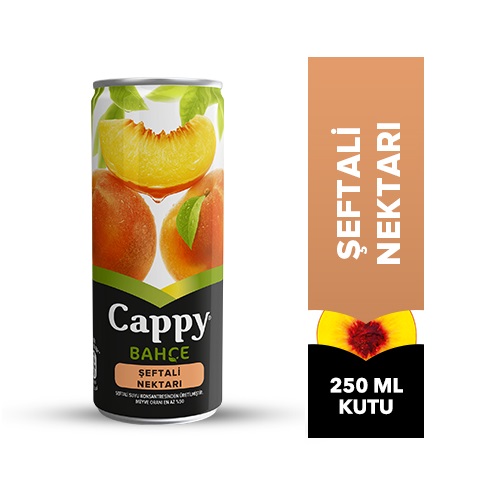 Cappy Mixed Atom (Sour Cherry, Peach and Apricot)