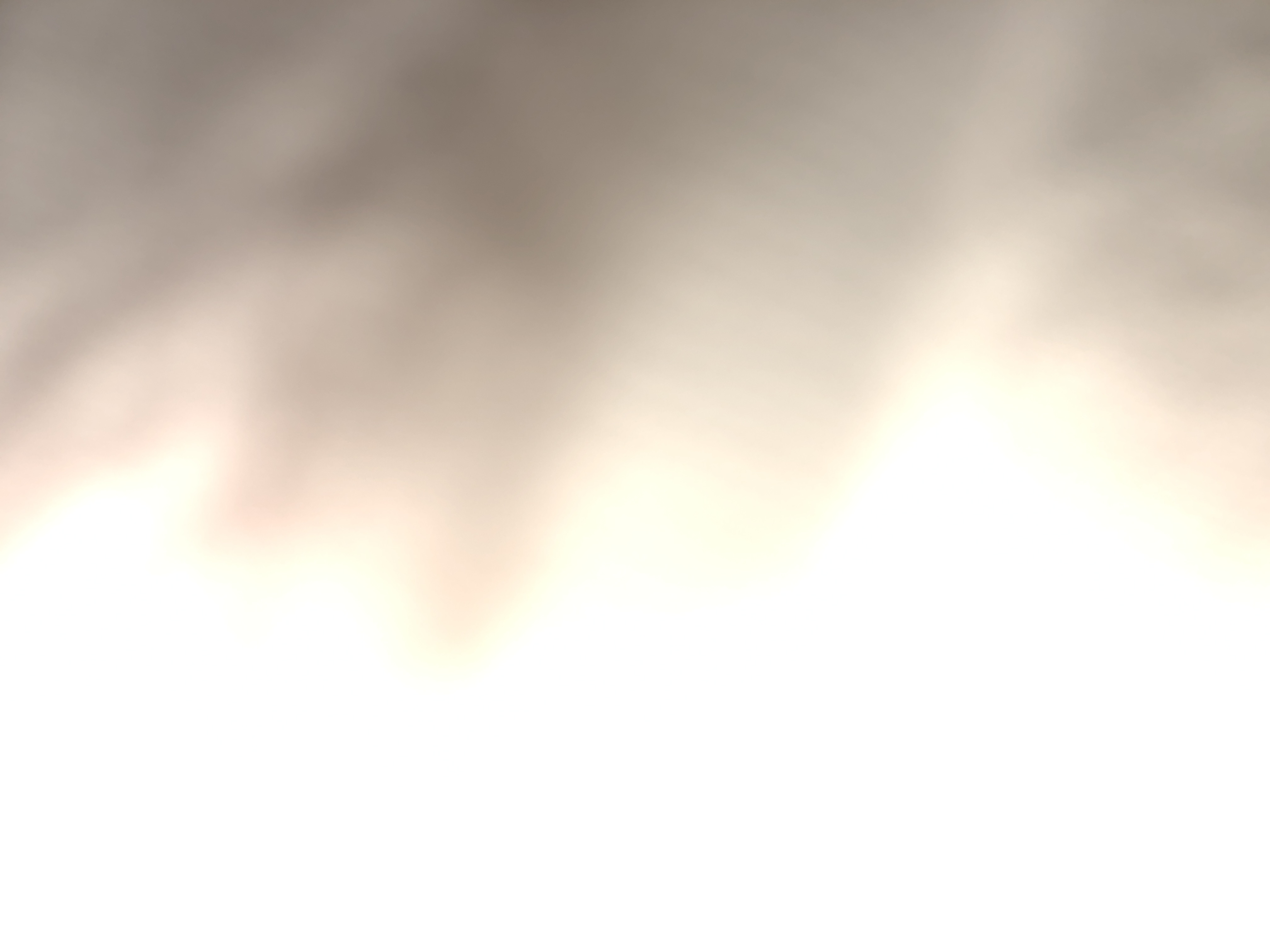 Bdbdbdn