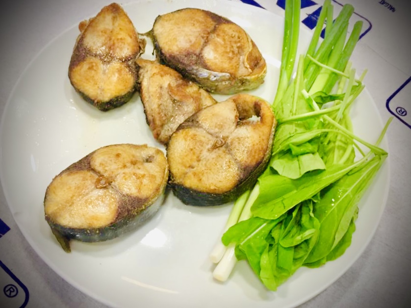 Palamut Takoz