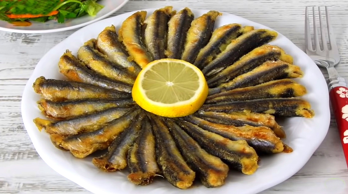 HAMSİ