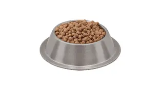 Açık Wechat Gurme Yetişkin Kedi Maması 500 g