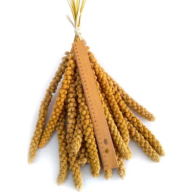 Beyaz Dal Darı 1 kg