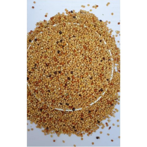 Açık Muhabbet Kuşu Yemi 1 kg