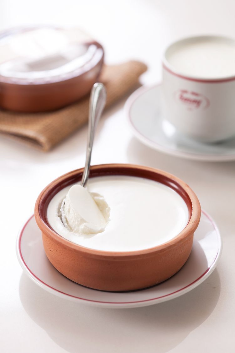 EV YAPIMI YOGURT