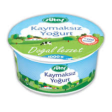 Yoğurt