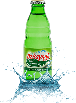 Soda Çeşitleri