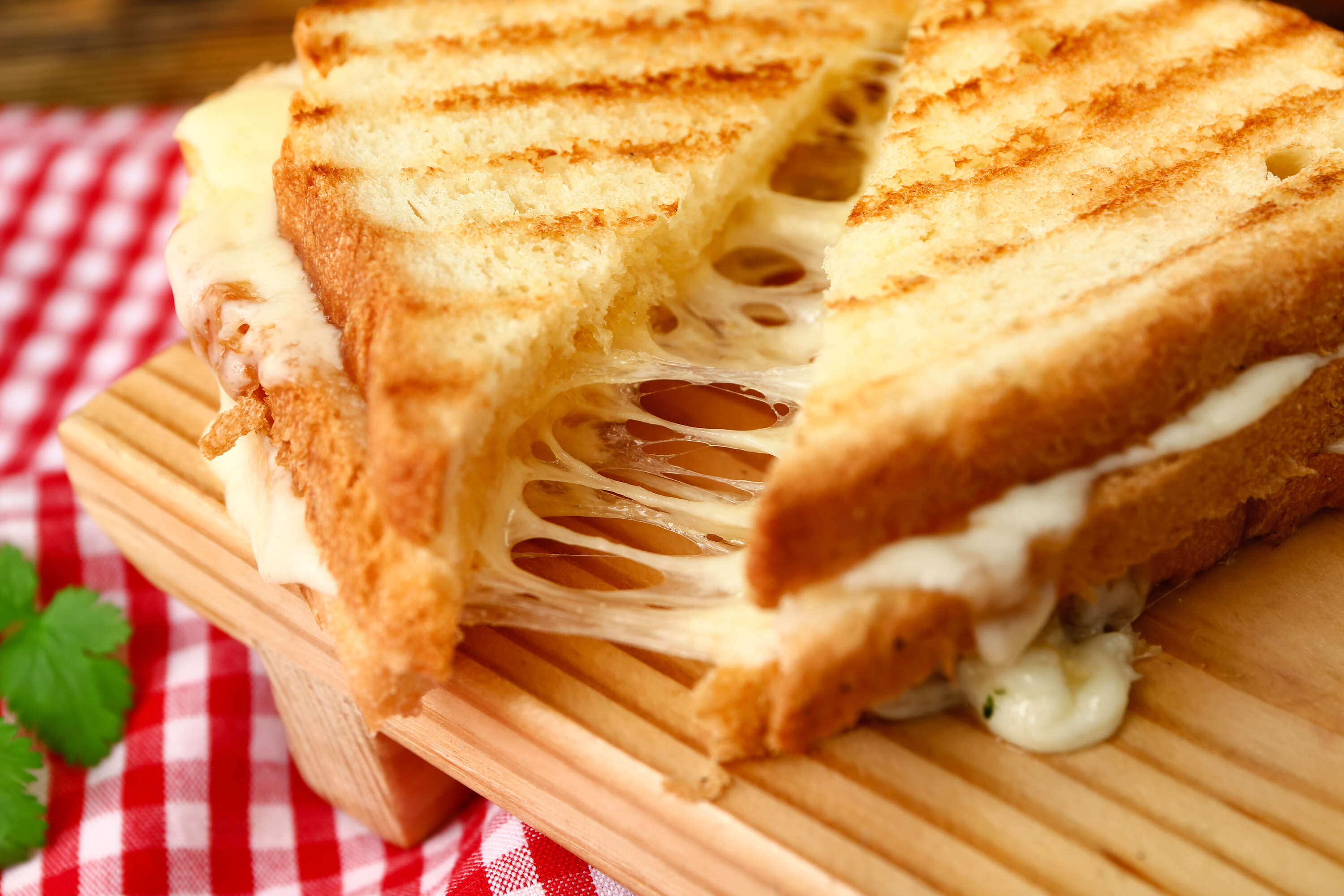 TOST ÇEŞİTLERİ