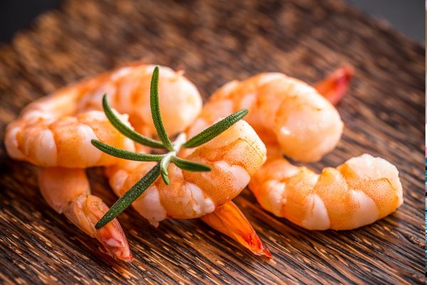 Shrimp