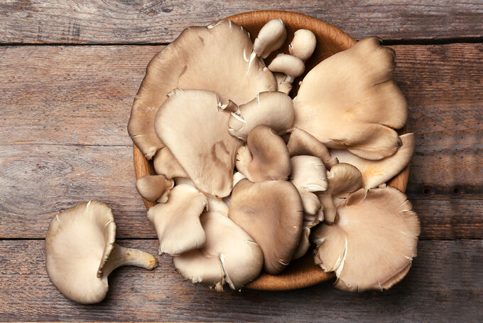 Oyster mushroom