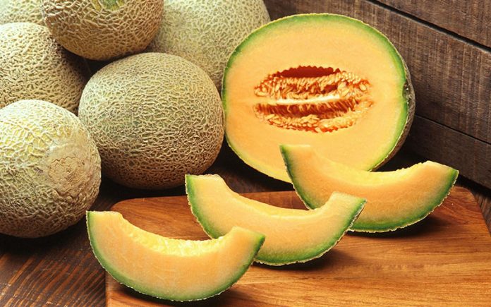 Melon slice