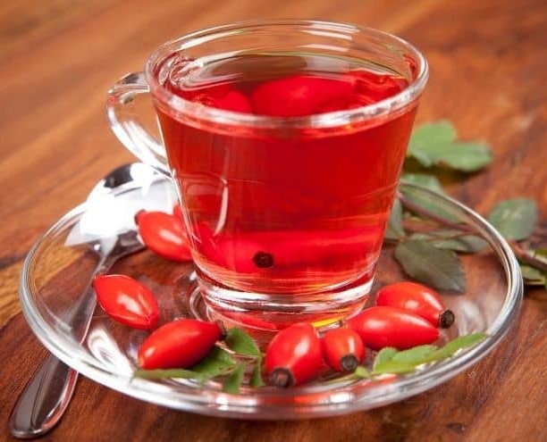 KUŞBURNU