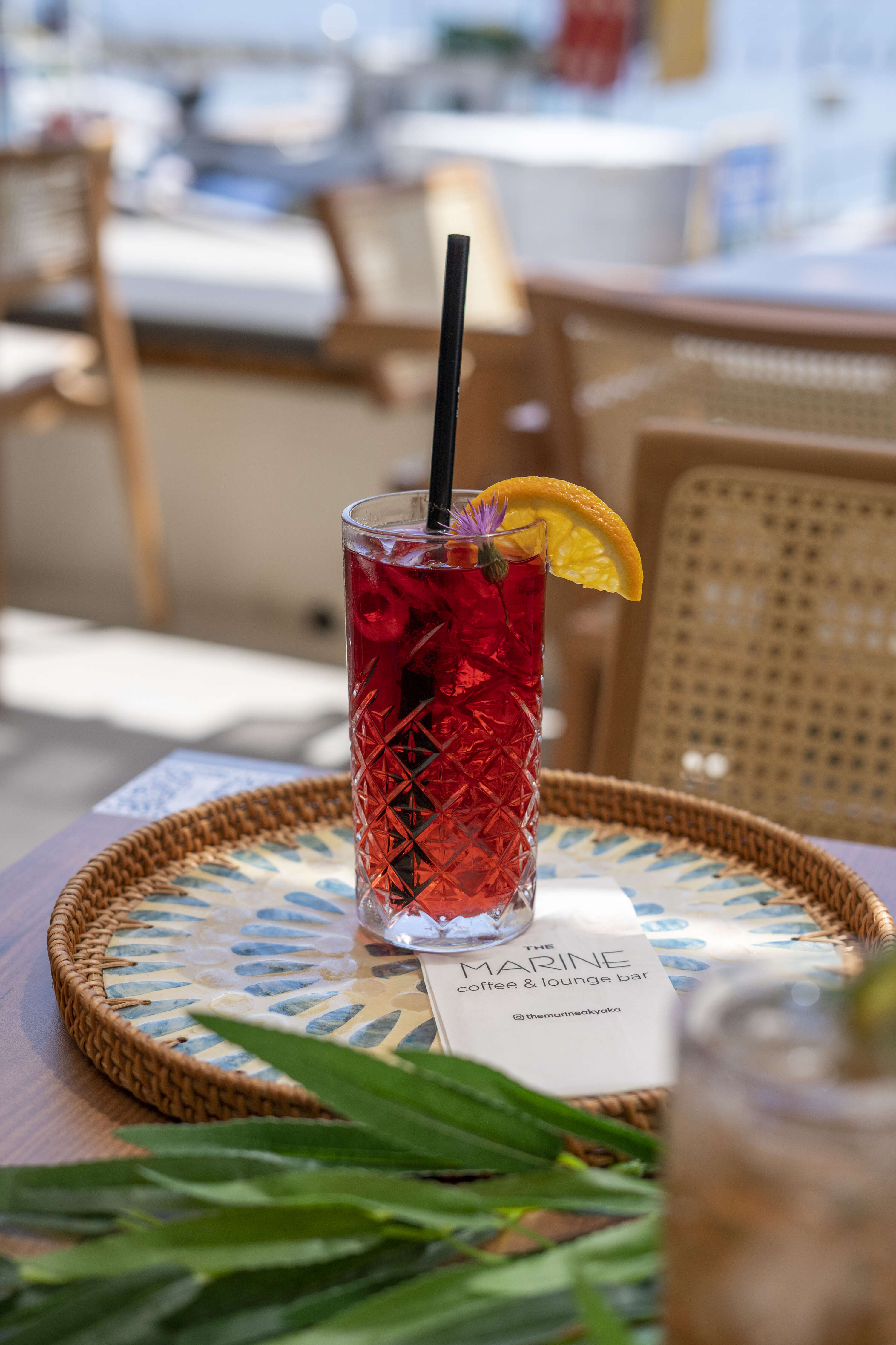 Hibiscus Mint