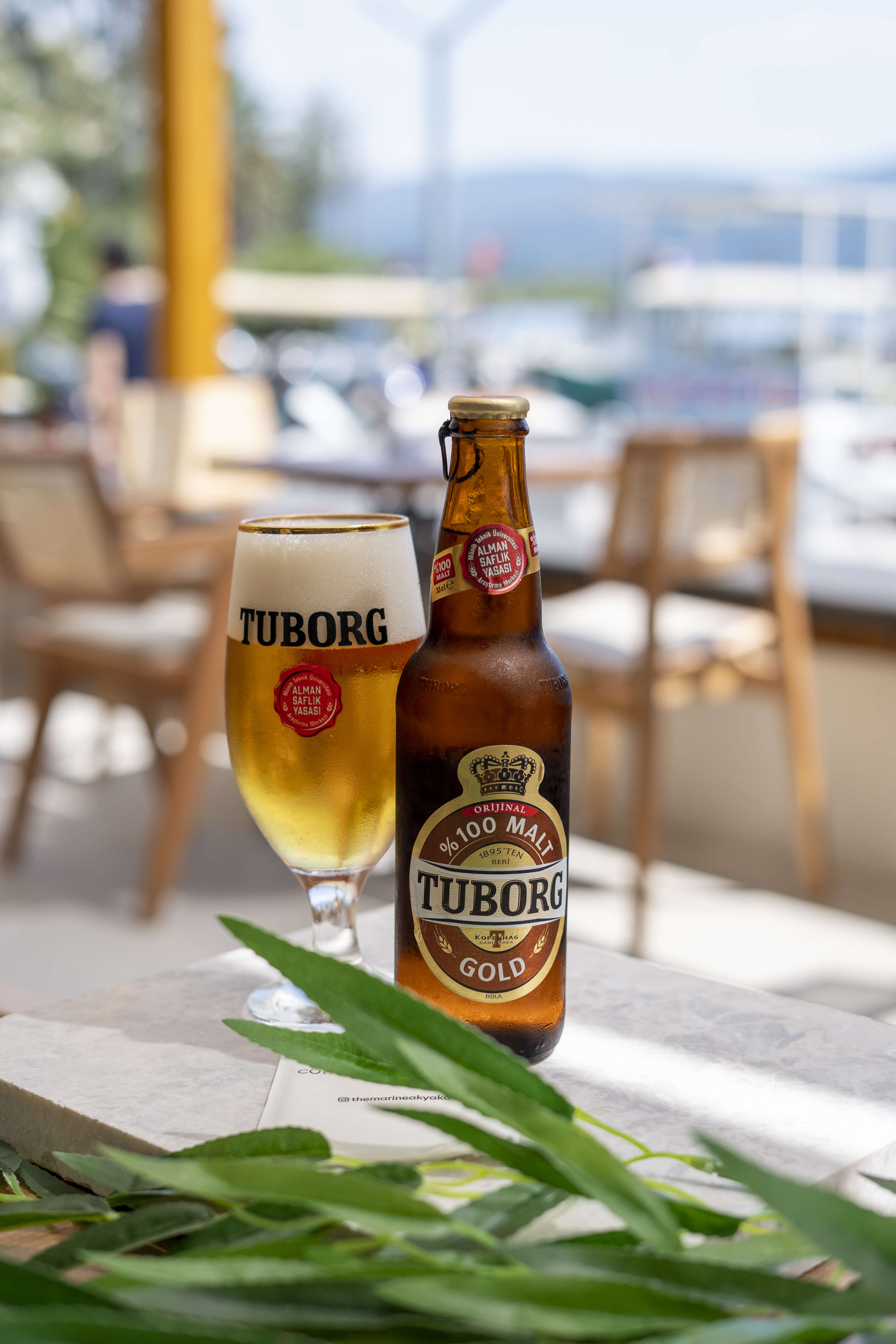 Tuborg 33cl Şişe