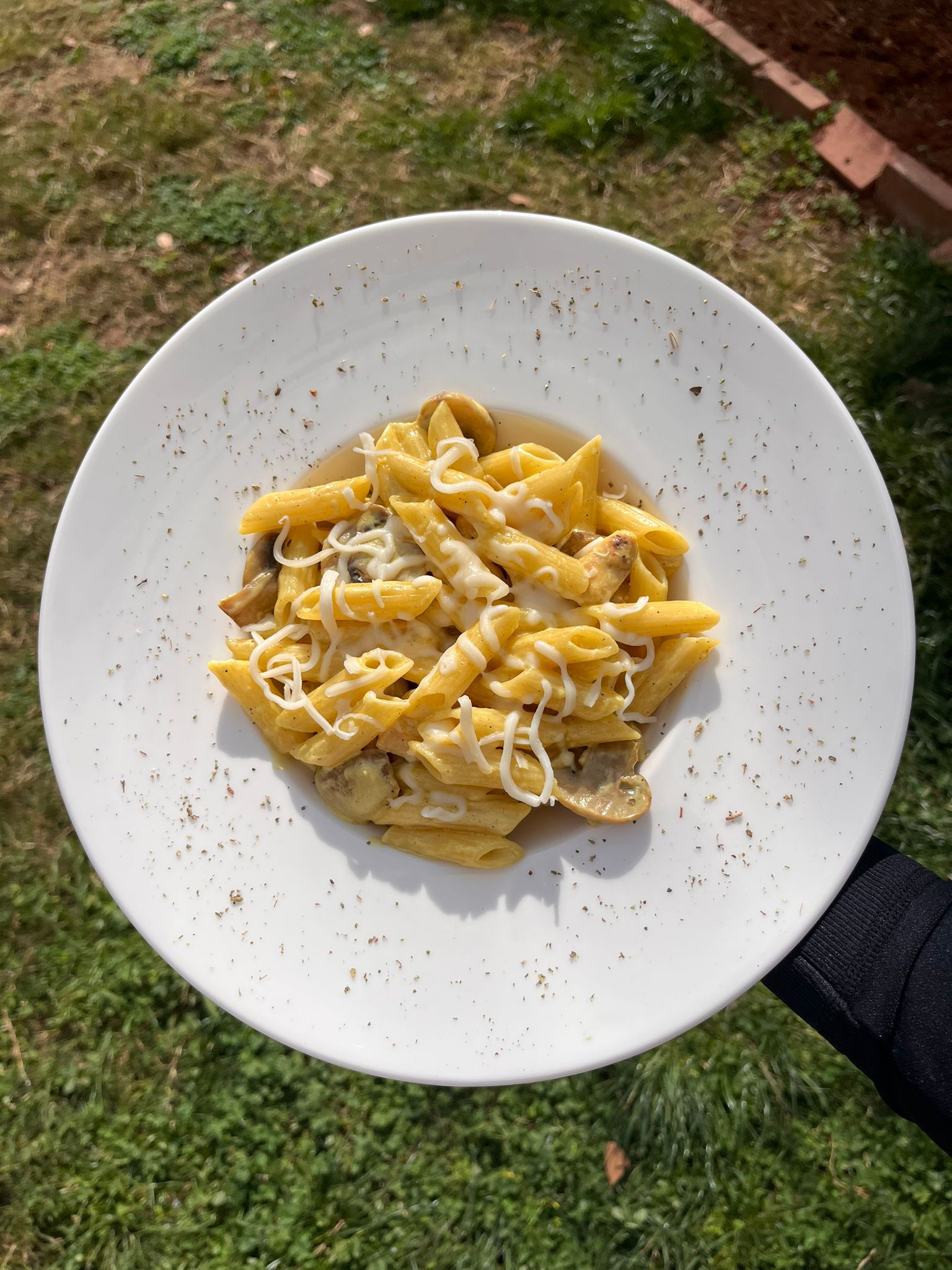 KREMALI TAVUKLU PENNE