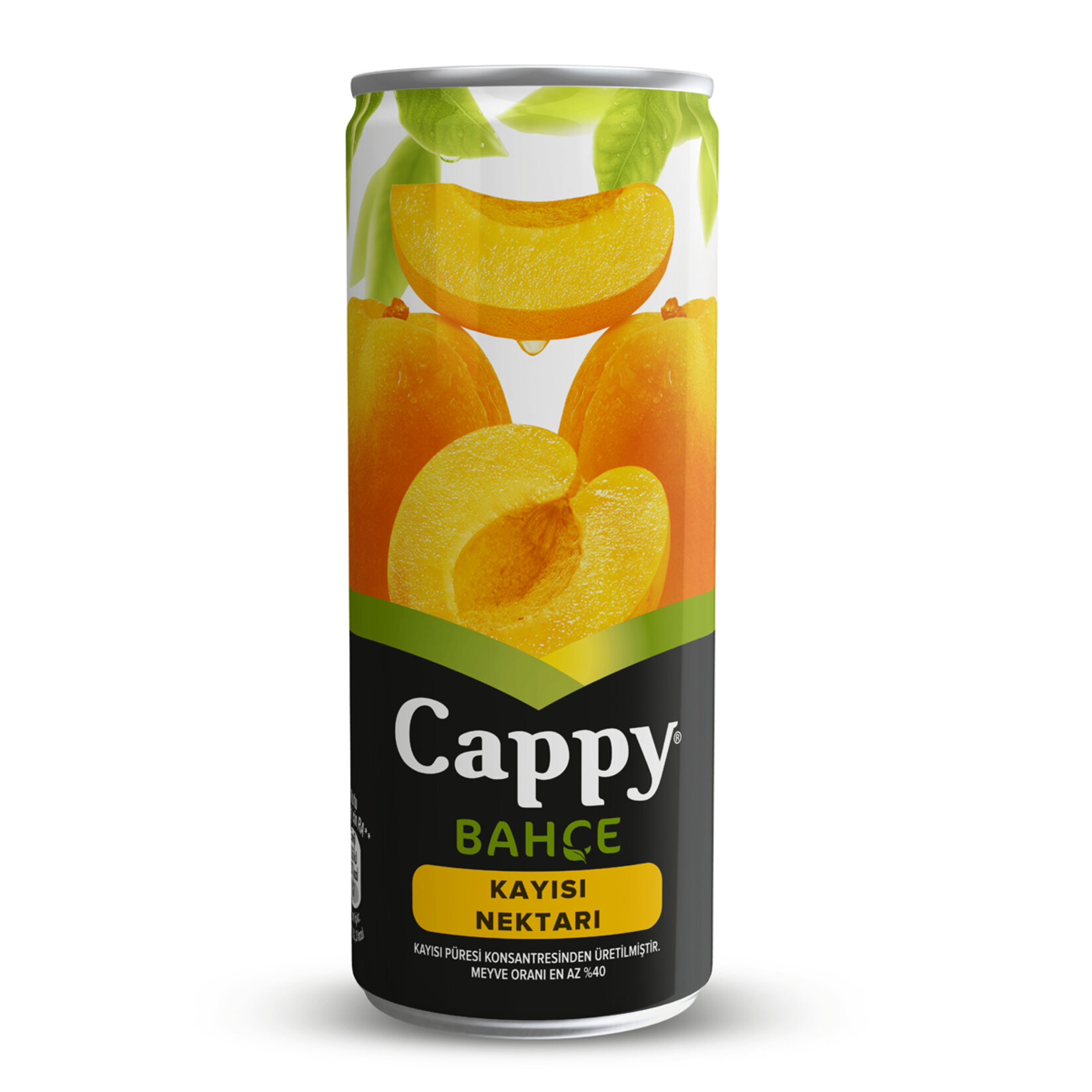 CAPPY KAYISI