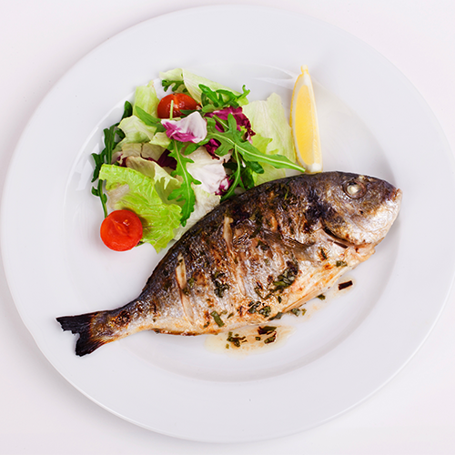 Fish Plate