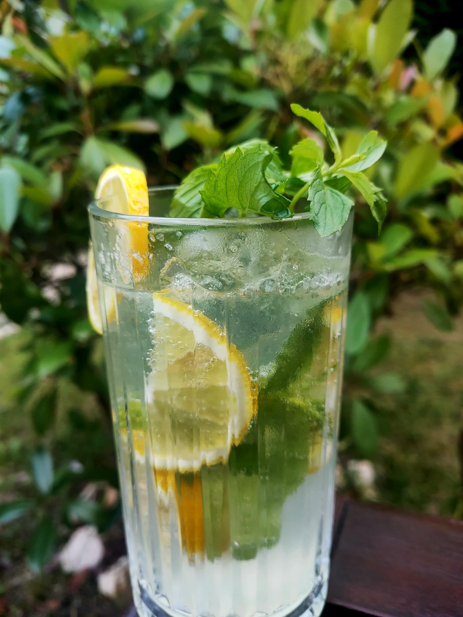 Alkolsüz Mojito