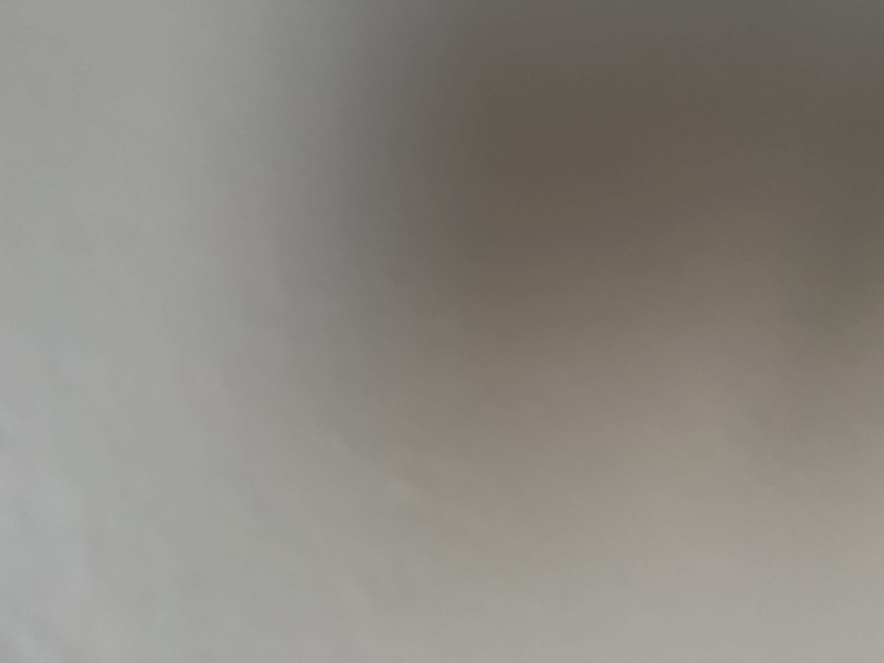 Bla