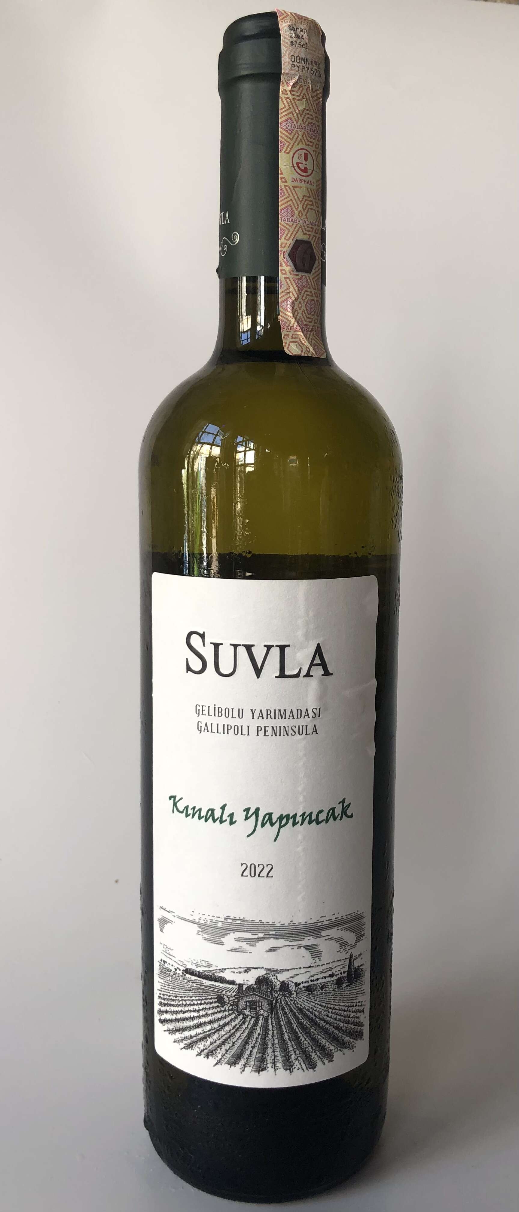 Suvla / Kınalı Yapıncak