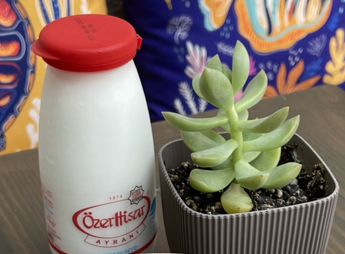 Ayran 