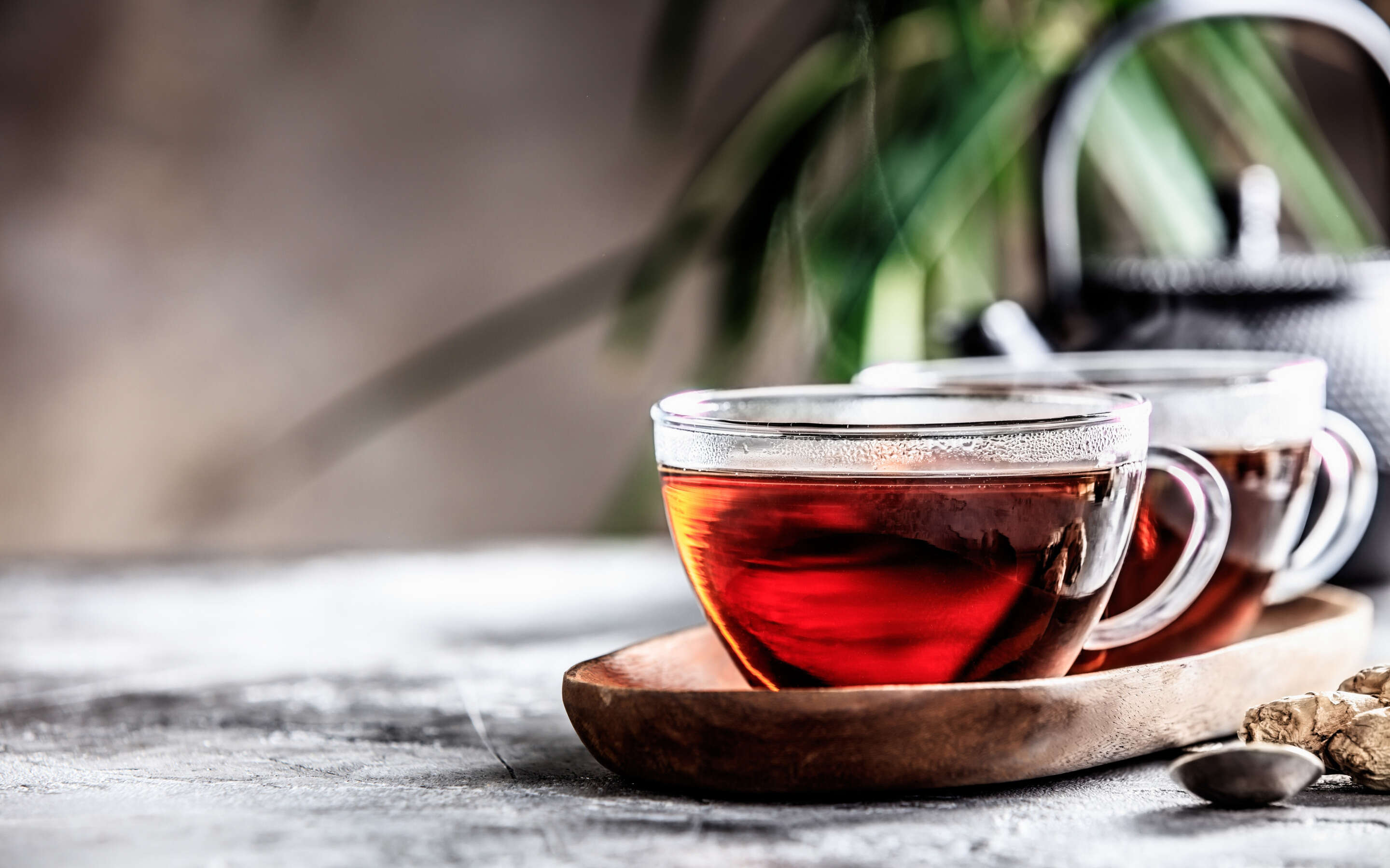 Fincay Çay/Cup Of Tea