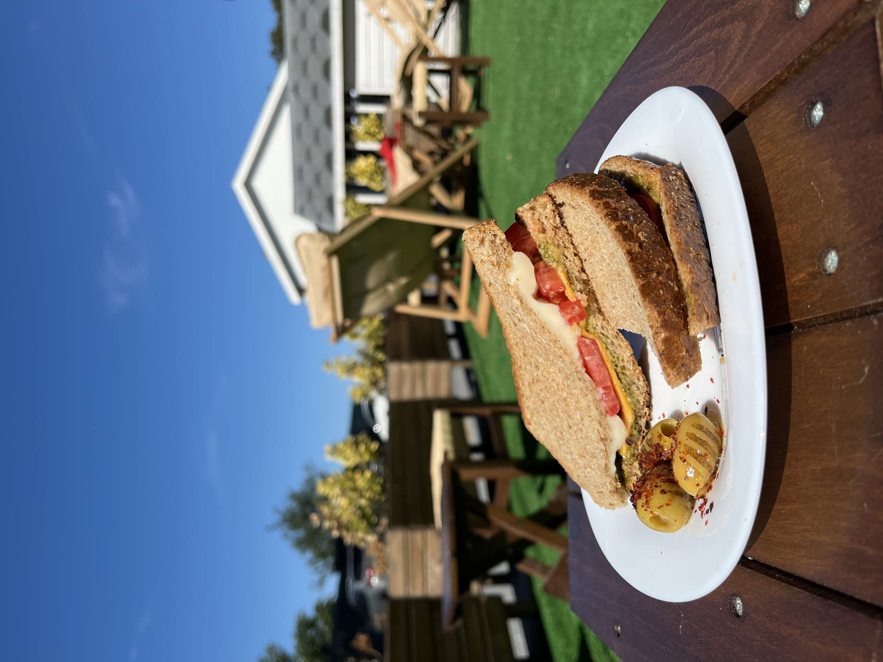 Pesto Peynir Sandviç 
