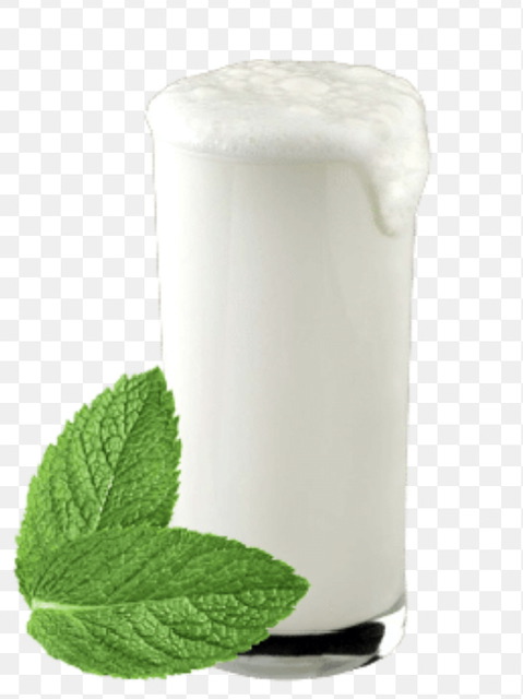 Mint ayran