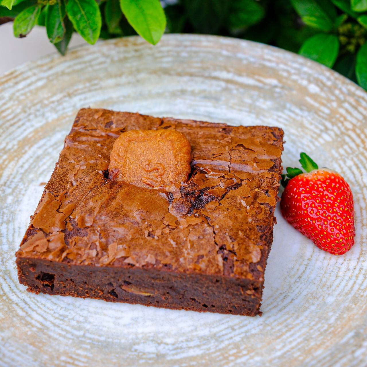 LOTUSLU BROWNIE