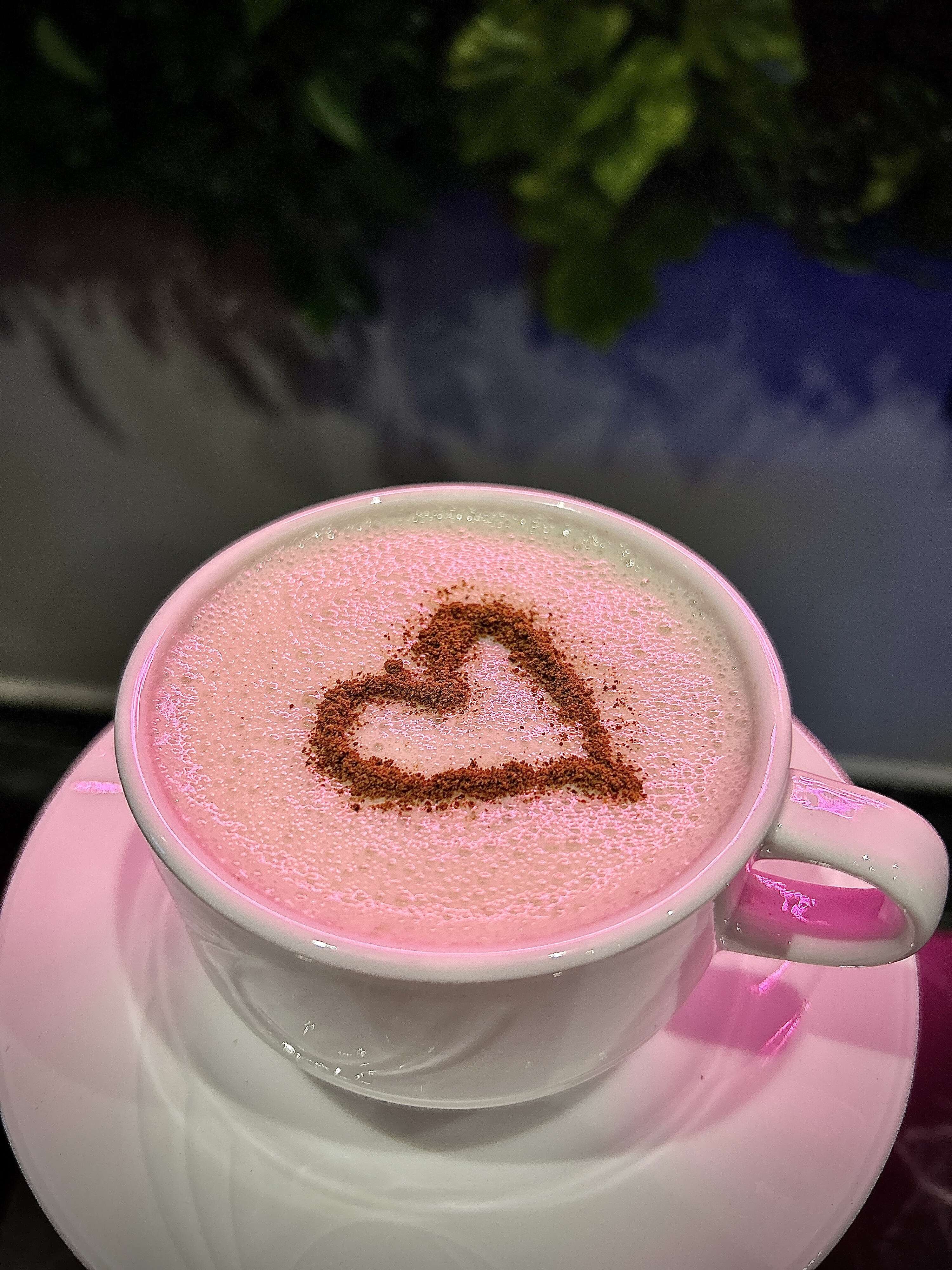 Salep