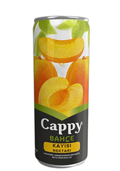 Cappy Kayısı Kutu