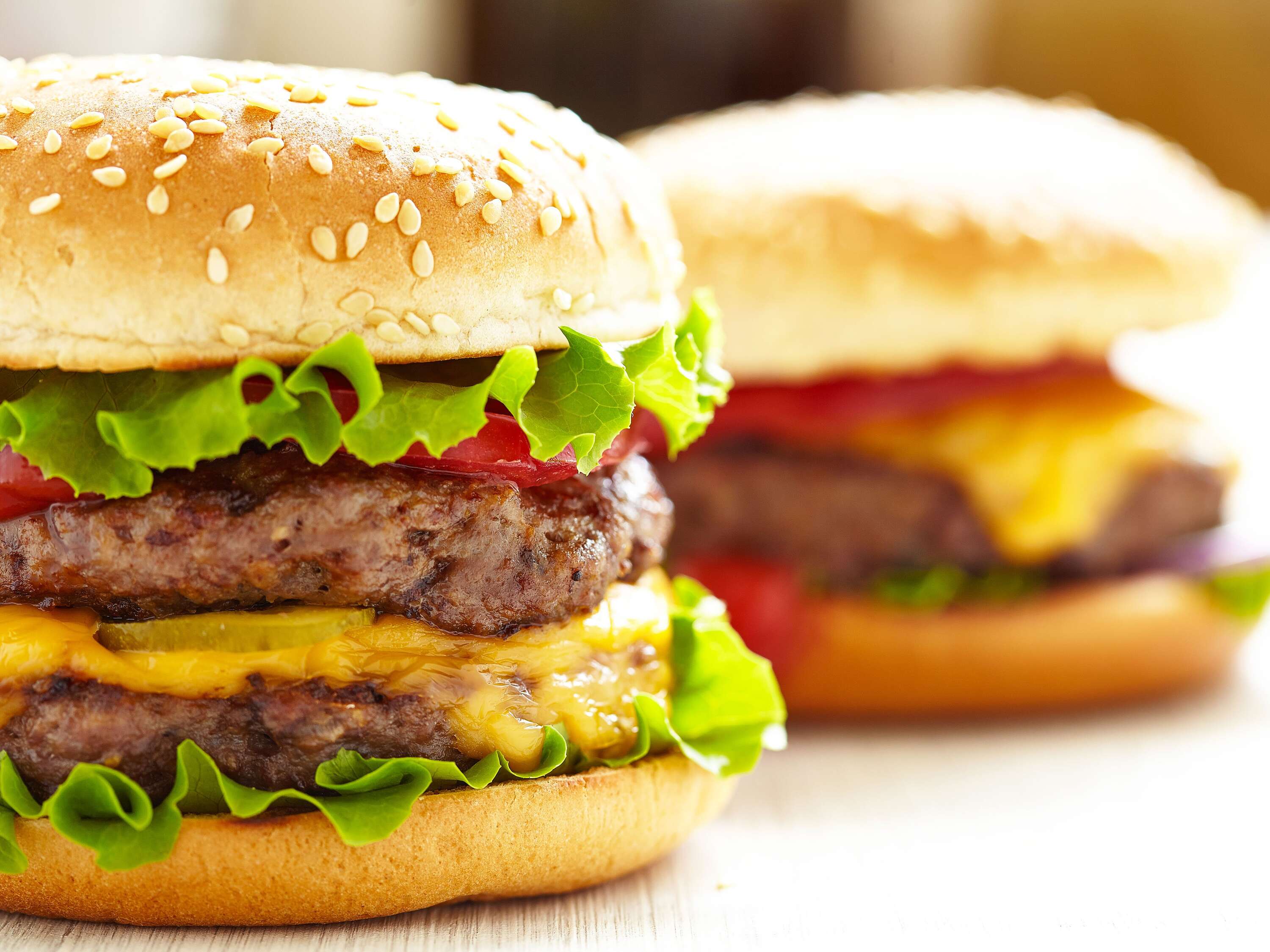 CaNıSı Burger