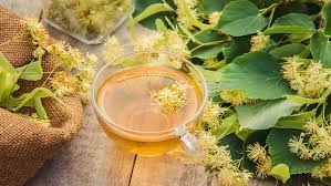 Linden tea