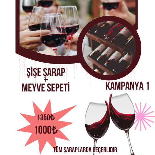 ÖZEL ŞİŞE ŞARAP KAMPANYASI