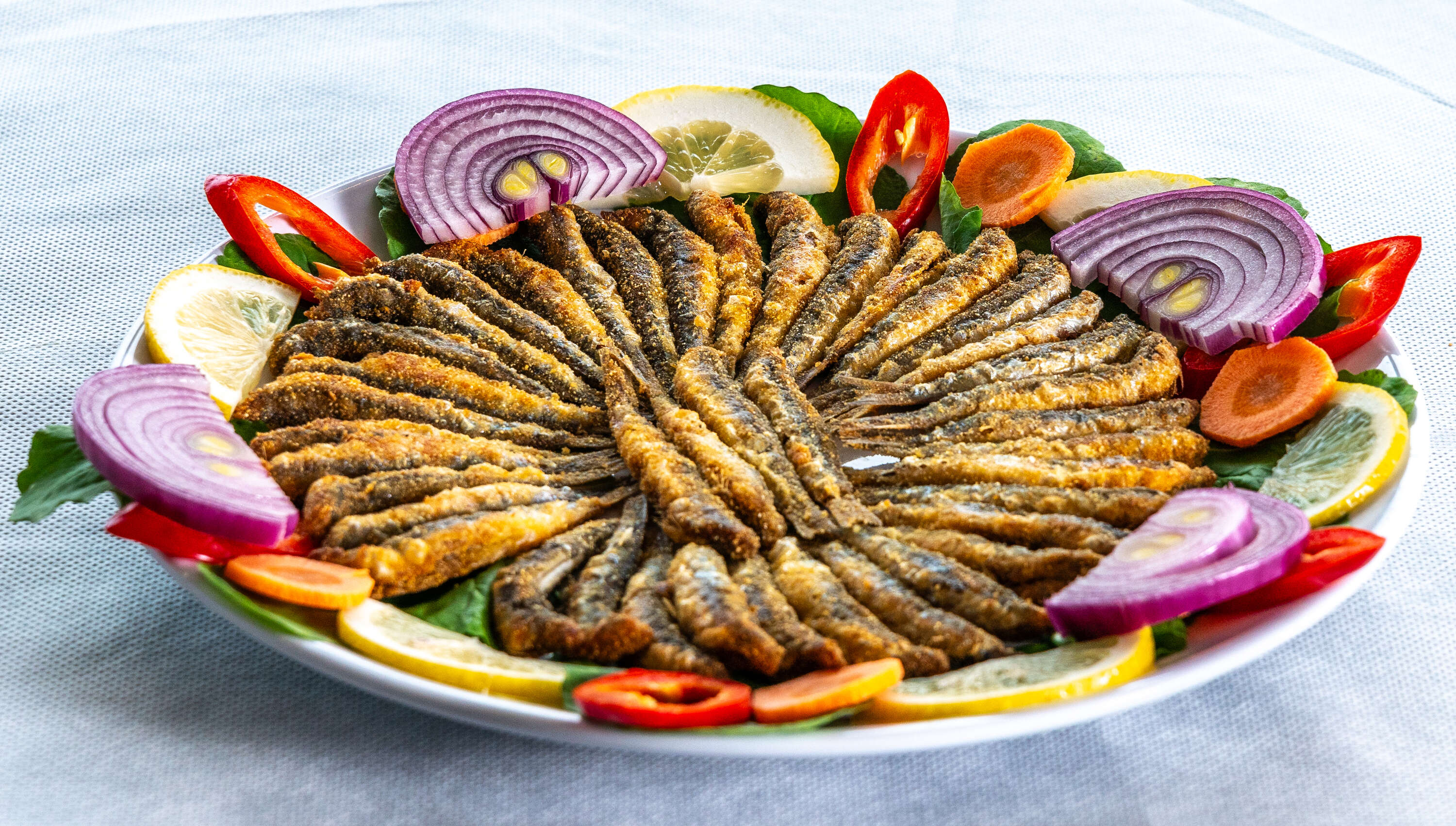 Hamsi 