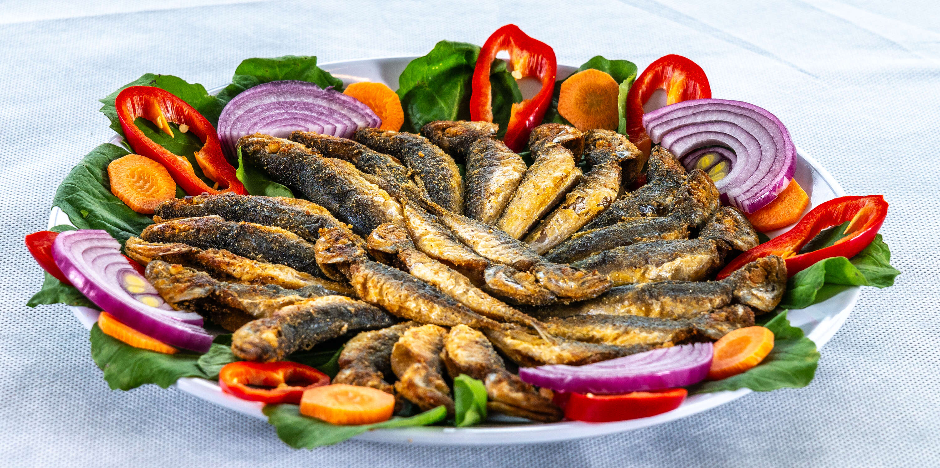 İstavrit