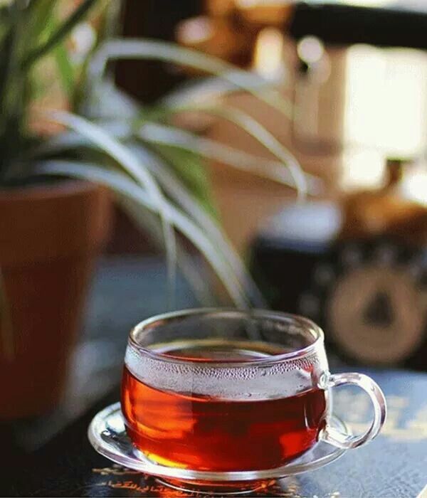 FİNCAN ÇAY 