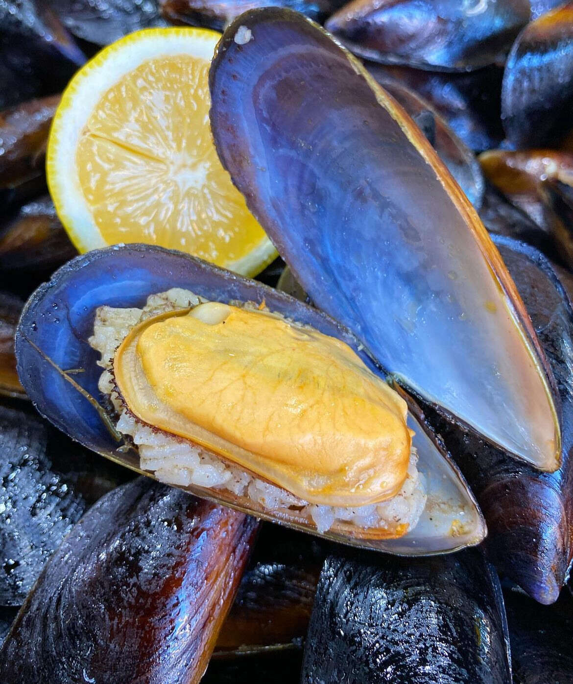 Large Mussels