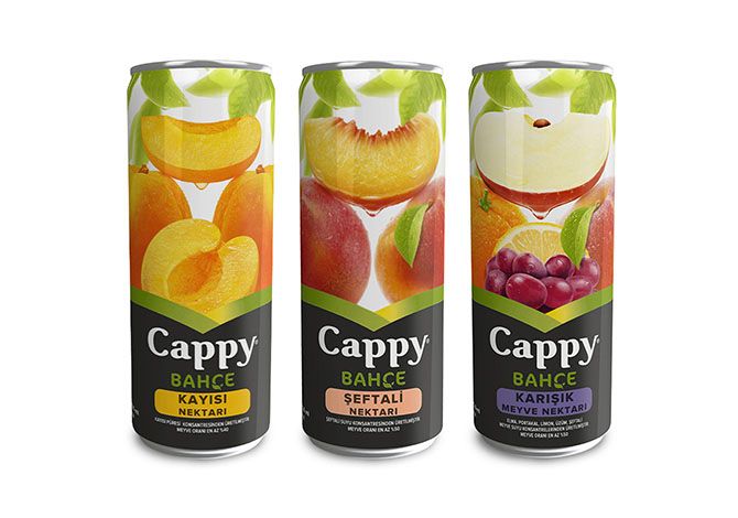 Cappy Meyve Suyu
