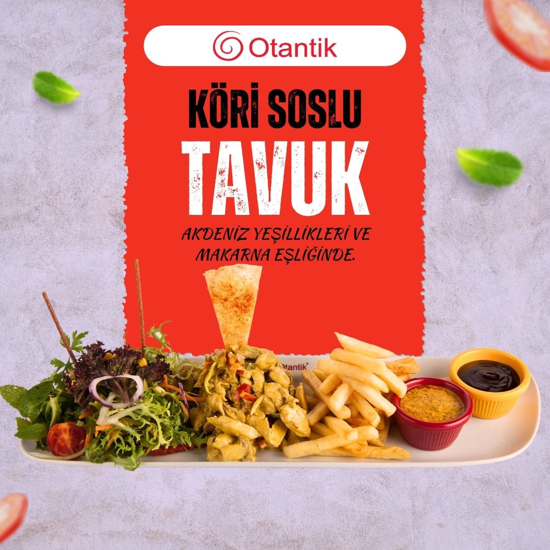 KÖRİ SOSLU TAVUK