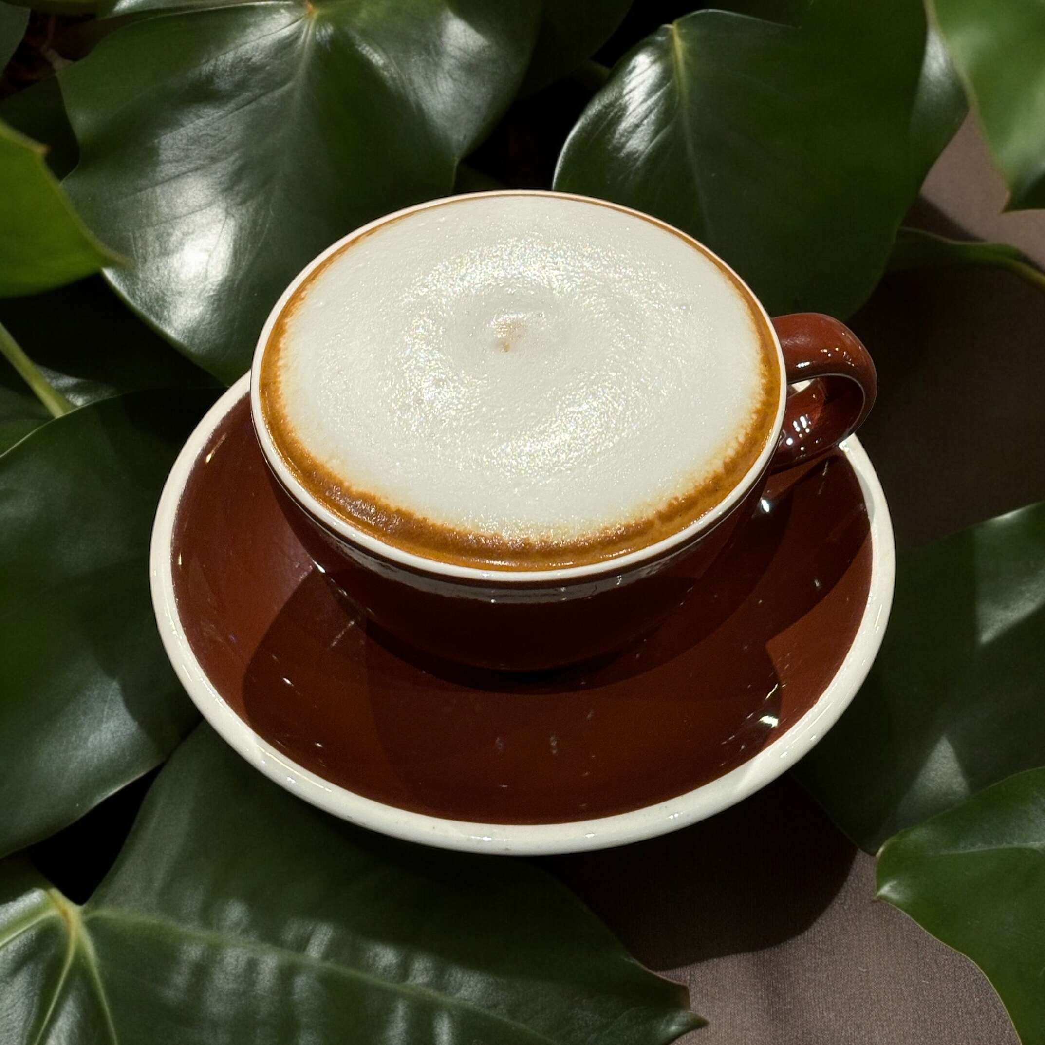 Cappuccino