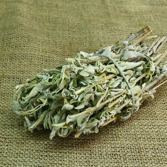 Adaçayı
